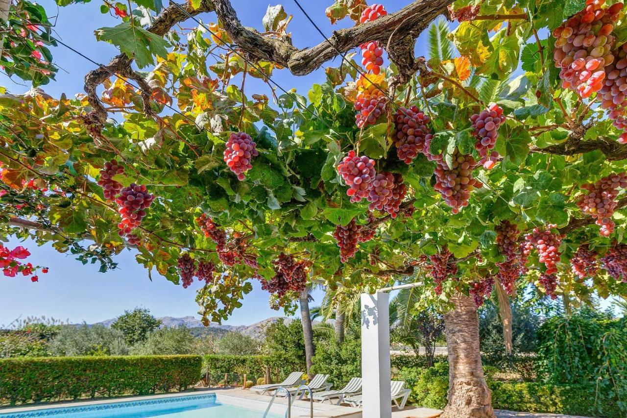 Villa Casa La Palmera Pollenca